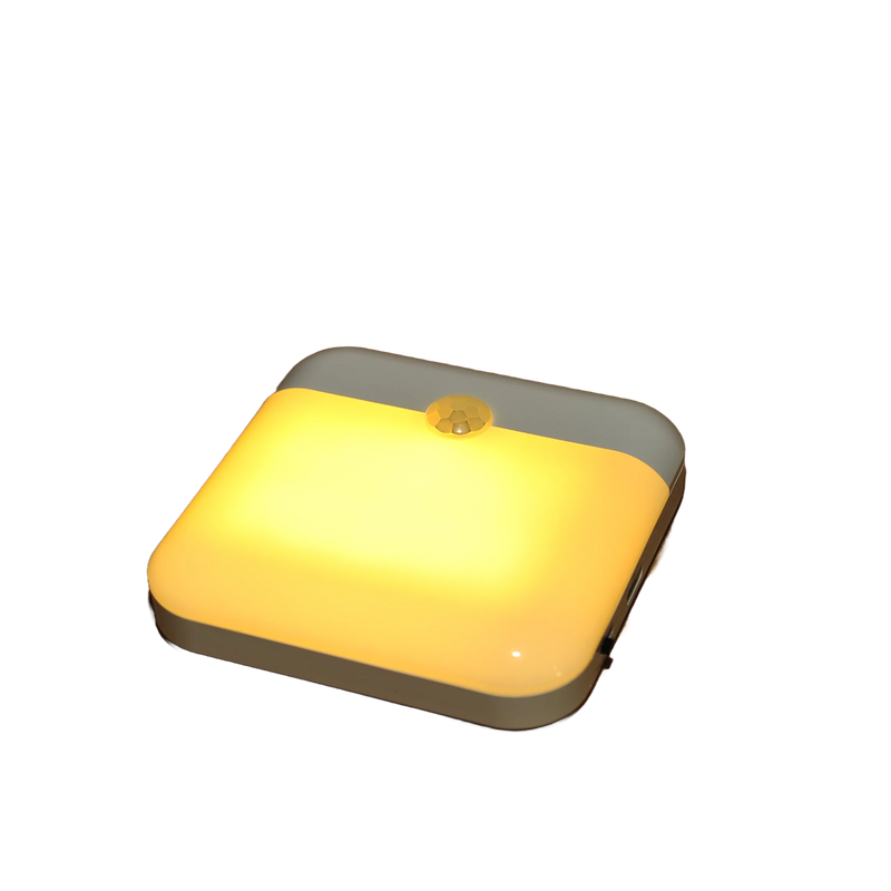 Xiamen LED Wireless Motion Sensor Light