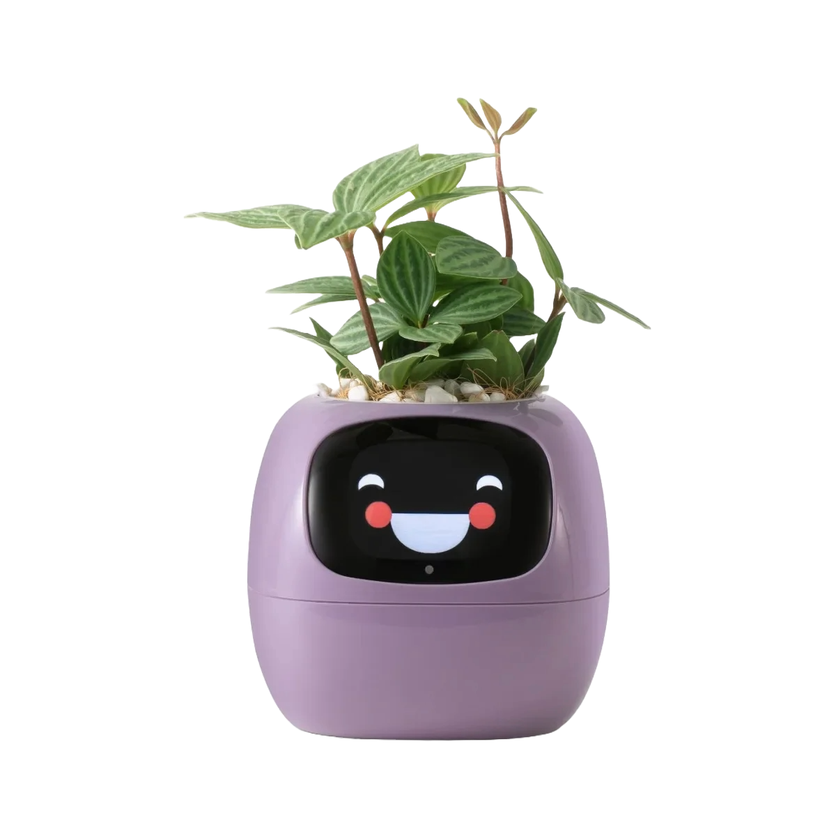 Tuya Ivy Smart Planter: A Revolutionary Companion for Effortless Plant Care with 49+ Expressions and 7 Smart Sensors.