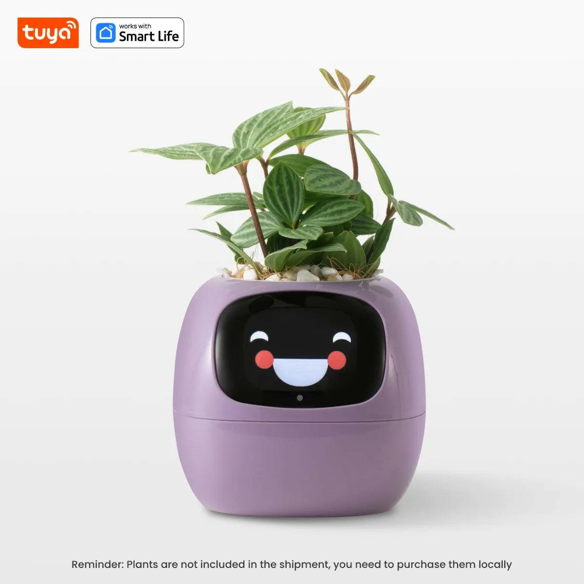 Tuya Ivy Smart Planter: A Revolutionary Companion for Effortless Plant Care with 49+ Expressions and 7 Smart Sensors.