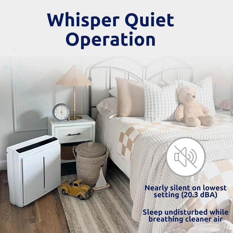 Rabbit Air A3 SPA-1000N Ultra Quiet HEPA Air Purifier - Wall-Mountable Solution for Large Spaces, Effectively Eliminates Allergens, Dust, Mold, Smoke, and VOCs (Black, Germ Defense Filter).