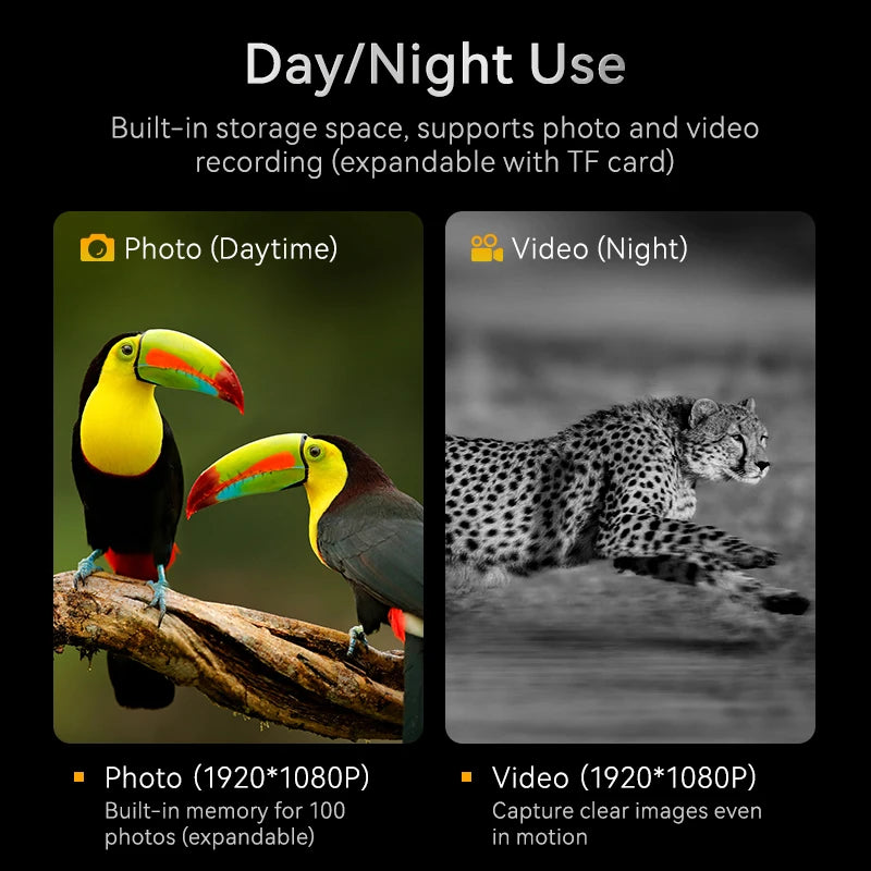 1080P Night Vision Binoculars with 10X Magnification and 800M Range, Infrared Technology, 2.8” Large Display for Outdoor Activities