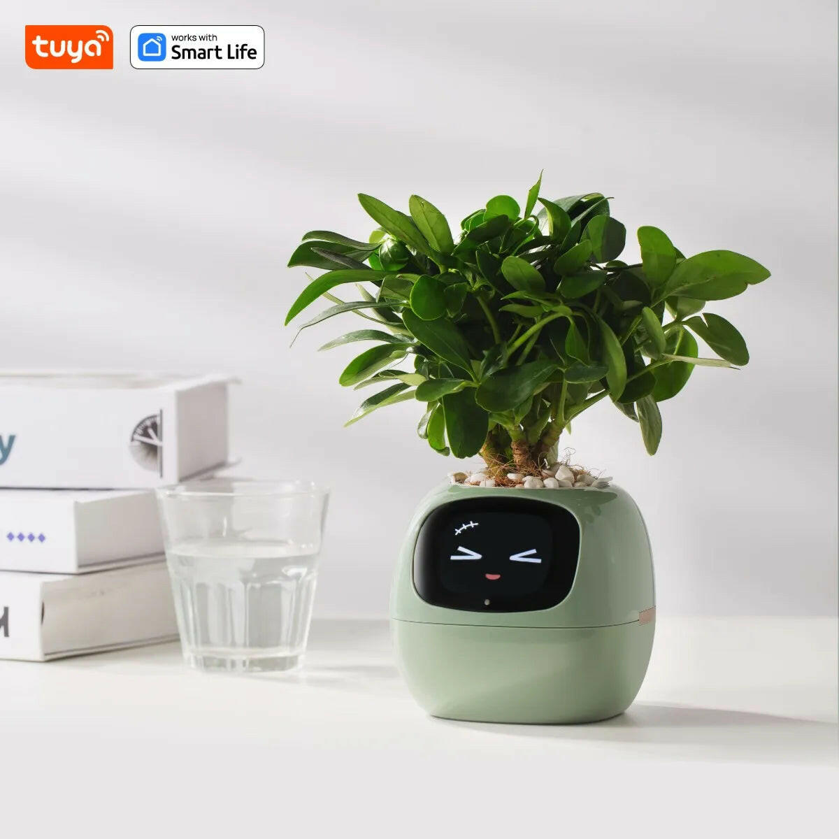 Tuya Ivy Smart Planter: A Revolutionary Companion for Effortless Plant Care with 49+ Expressions and 7 Smart Sensors.