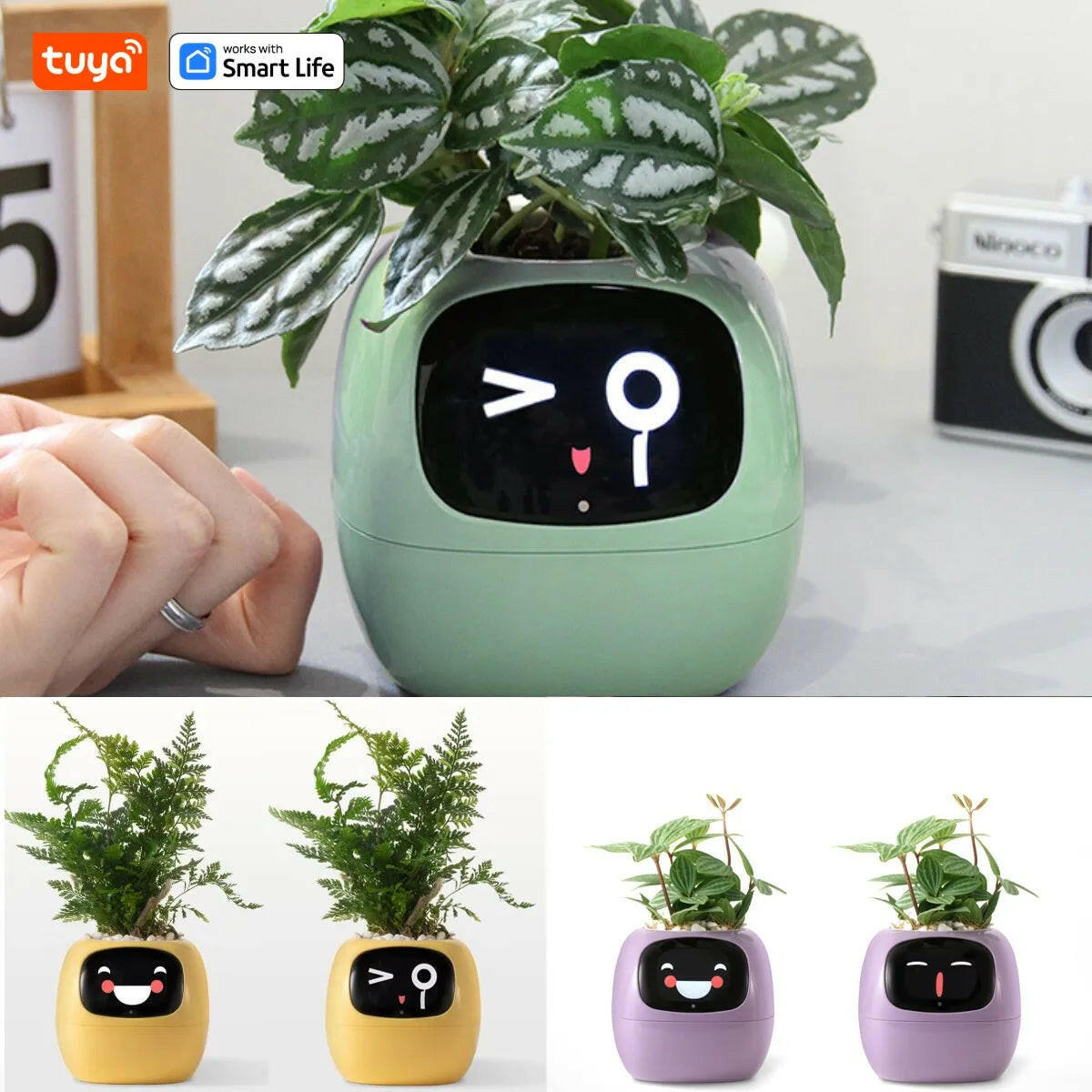 Tuya Ivy Smart Planter: A Revolutionary Companion for Effortless Plant Care with 49+ Expressions and 7 Smart Sensors.