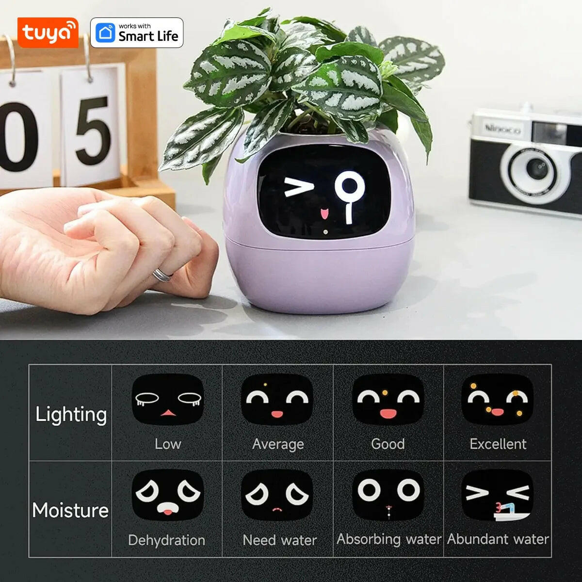Tuya Ivy Smart Planter: A Revolutionary Companion for Effortless Plant Care with 49+ Expressions and 7 Smart Sensors.